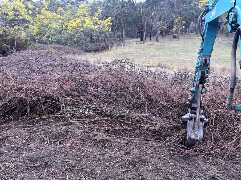 Weed control work in progress