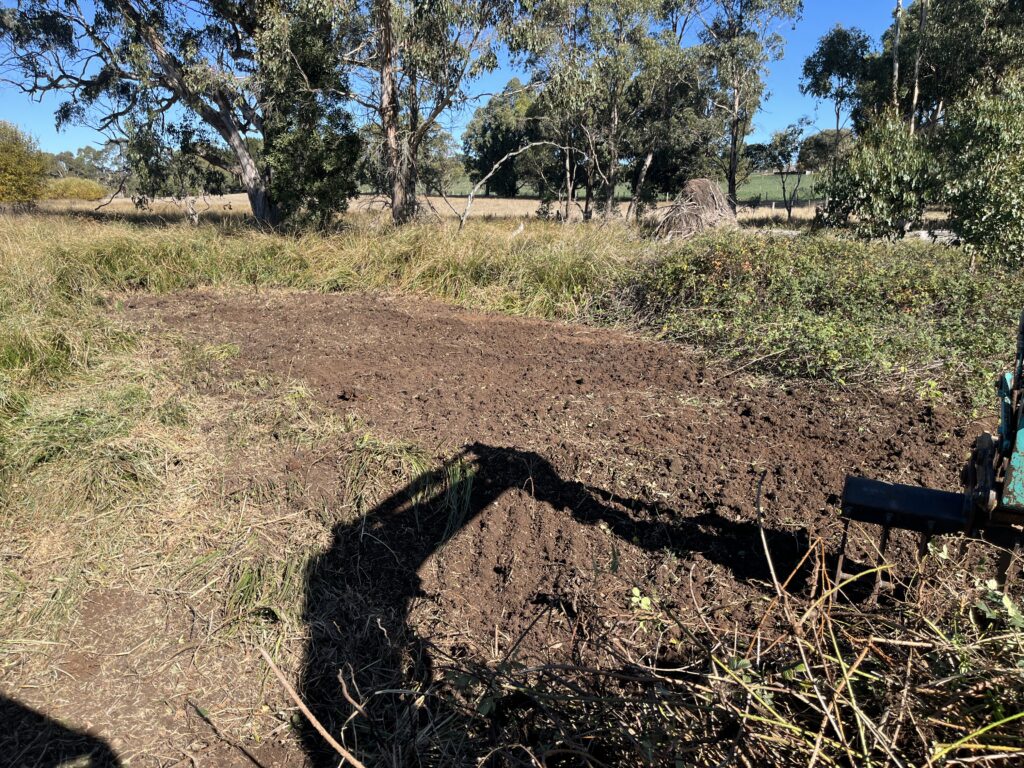 Excavator clearing invasive vegetation
