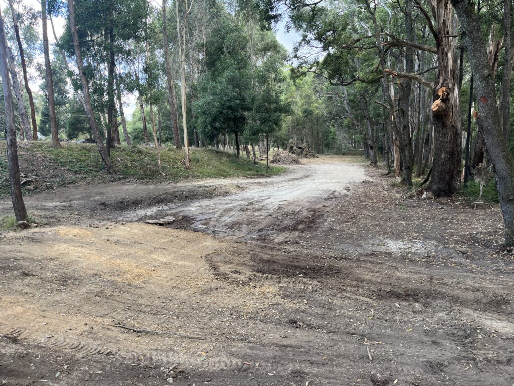Cleared area after weed control