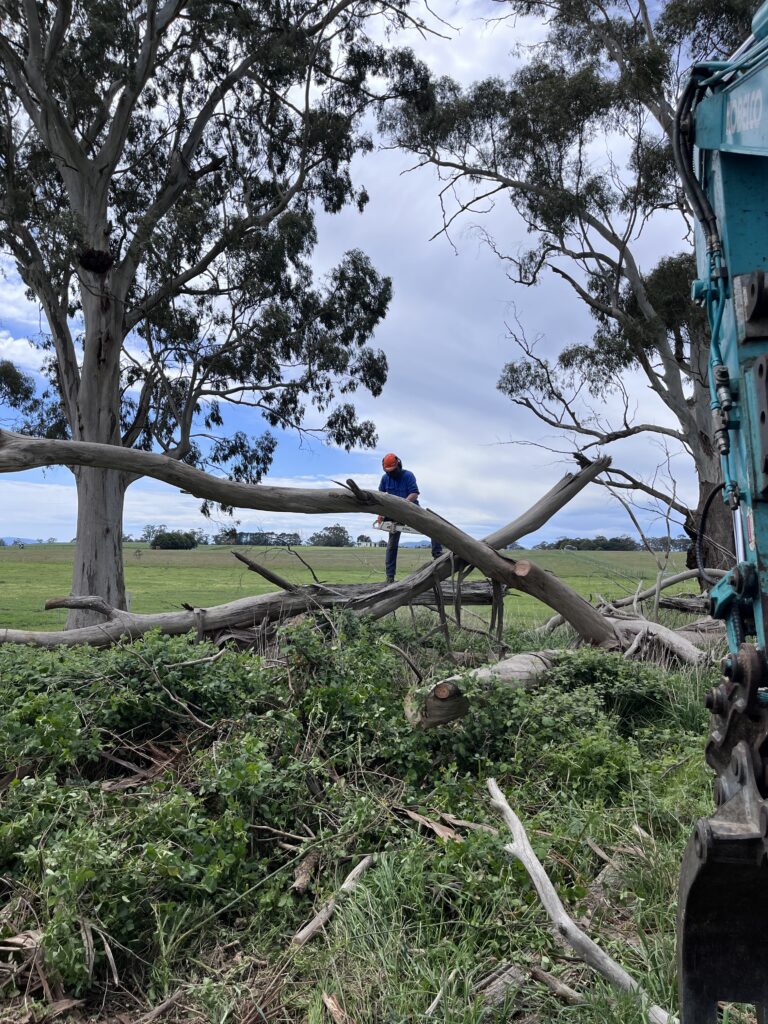 Rural Property Maintenance