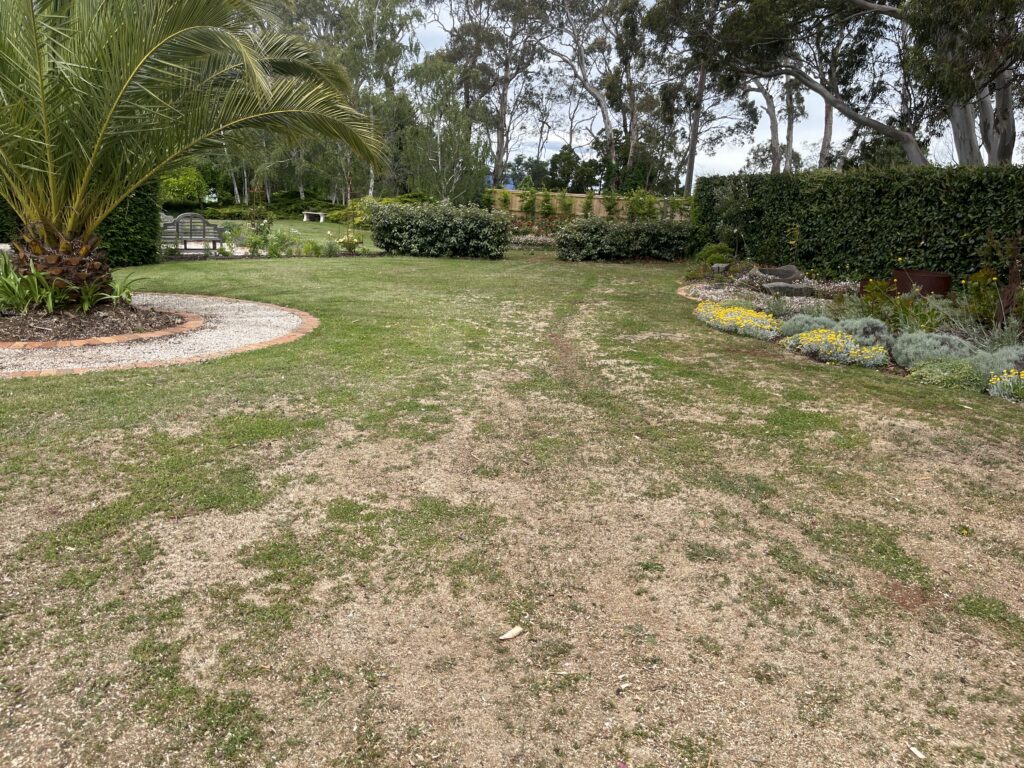 Spring Hill Nursery before landscaping
